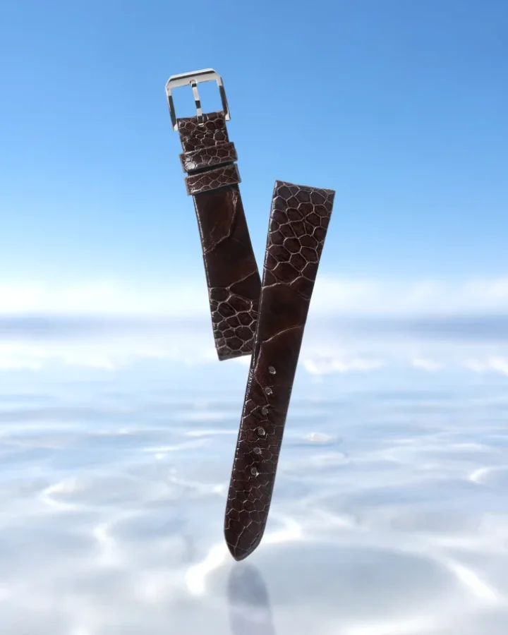 オーストレッグセンターのベルト (チョコレートブラウン)